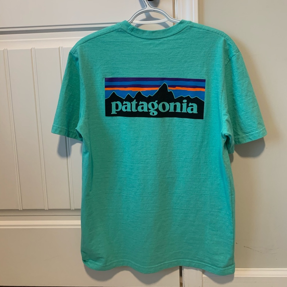Men’s Teal Patagonia T-shirt